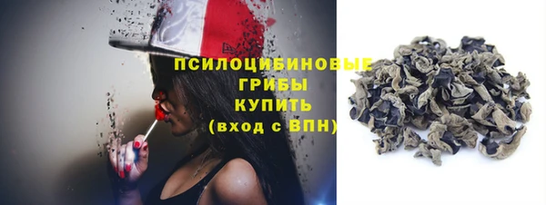 хмурый Абаза