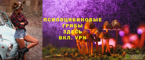 кокс Алексеевка